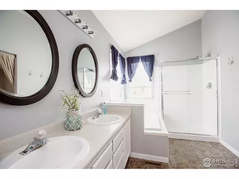 100 Whitney Ct, Windsor, CO 80550 photo 20