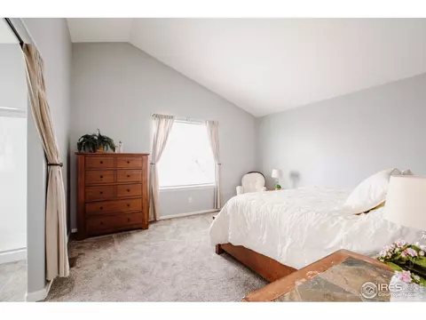 100 Whitney Ct, Windsor, CO 80550 photo 17