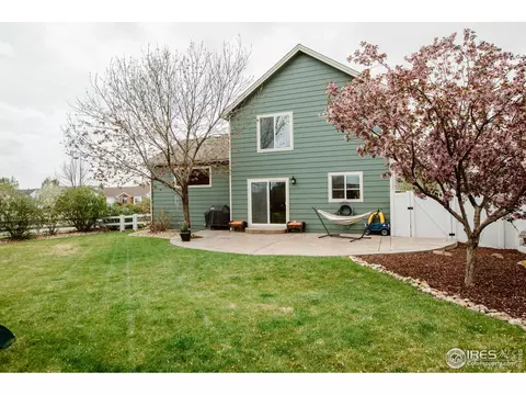 100 Whitney Ct, Windsor, CO 80550 photo 35