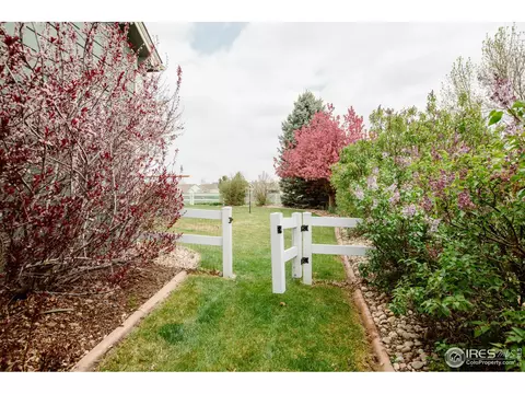100 Whitney Ct, Windsor, CO 80550 photo 39