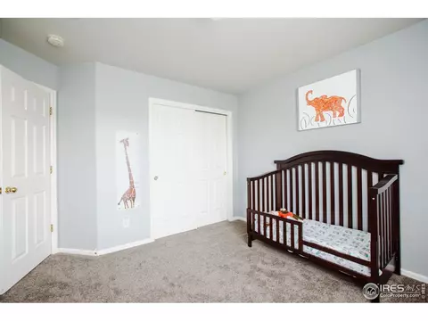 100 Whitney Ct, Windsor, CO 80550 photo 26