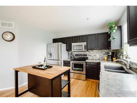 100 Whitney Ct, Windsor, CO 80550 photo 12