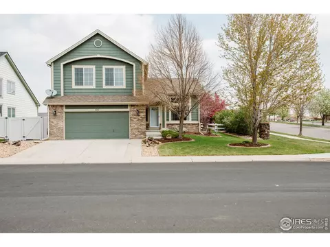 100 Whitney Ct, Windsor, CO 80550 photo 1