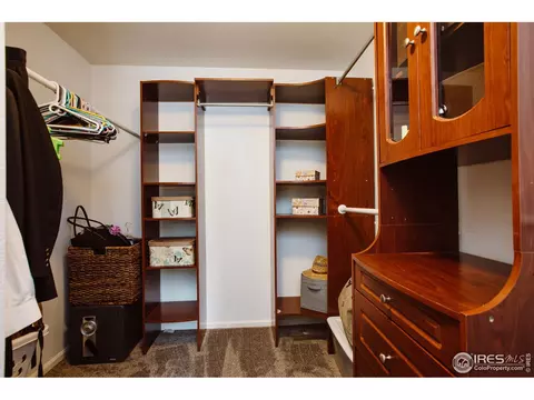 100 Whitney Ct, Windsor, CO 80550 photo 22