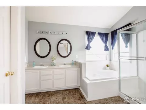 100 Whitney Ct, Windsor, CO 80550 photo 19