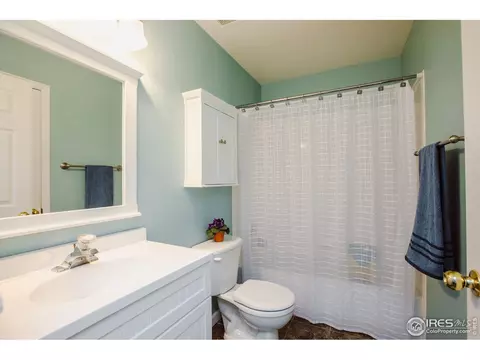 100 Whitney Ct, Windsor, CO 80550 photo 25