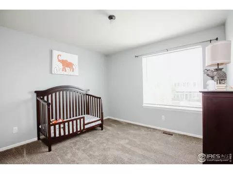 100 Whitney Ct, Windsor, CO 80550 photo 27