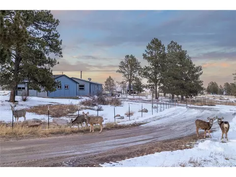 22897 Eagle Dr, Elbert, CO 80106 photo 2