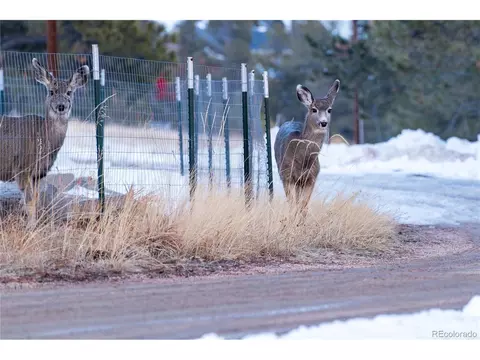 22897 Eagle Dr, Elbert, CO 80106 photo 35