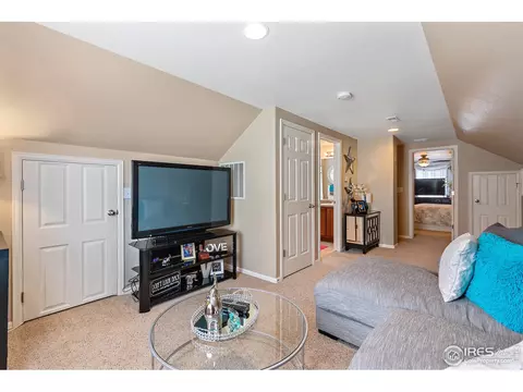 11331 E 110th Way, Henderson, CO 80640 photo 32