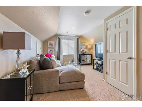11331 E 110th Way, Henderson, CO 80640 photo 29