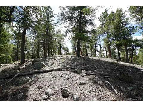 750 Lions Head Ranch Rd, Pine, CO 80470 photo 9