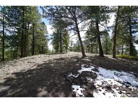 750 Lions Head Ranch Rd, Pine, CO 80470 photo 10