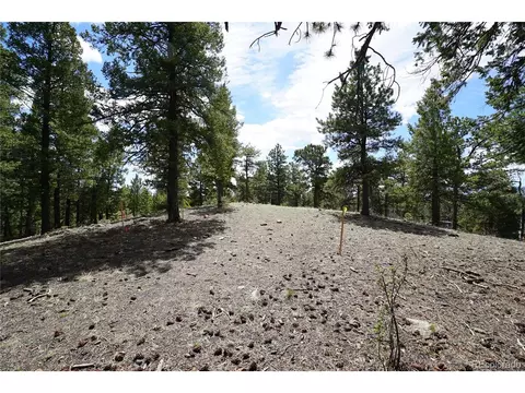 750 Lions Head Ranch Rd, Pine, CO 80470 photo 11