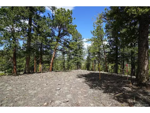 750 Lions Head Ranch Rd, Pine, CO 80470 photo 7