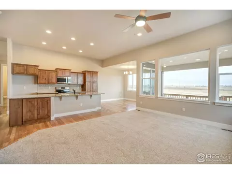 813 Mt Sneffels Ave, Severance, CO 80550 photo 12