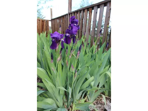 3845 Cloverleaf Dr, Boulder, CO 80304 photo 14