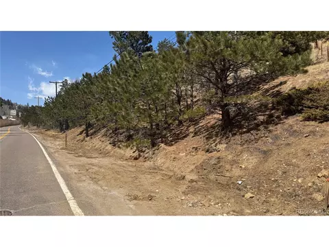 23 Eureka St, Central City, CO 80427