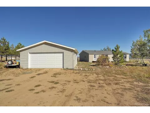 20333 Old Ranch Loop, Nathrop, CO 81236 photo 2