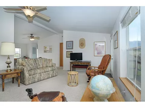 20333 Old Ranch Loop, Nathrop, CO 81236 photo 5