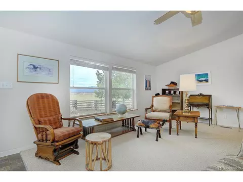 20333 Old Ranch Loop, Nathrop, CO 81236 photo 4