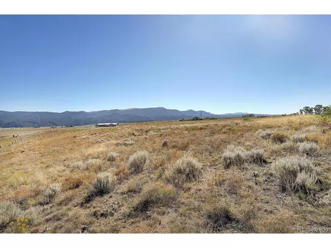 20333 Old Ranch Loop, Nathrop, CO 81236 photo 21