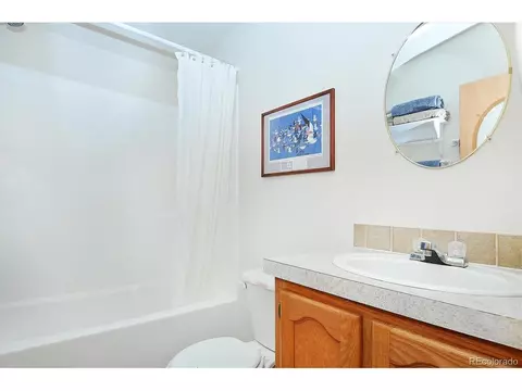 20333 Old Ranch Loop, Nathrop, CO 81236 photo 15