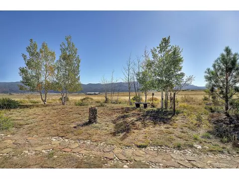 20333 Old Ranch Loop, Nathrop, CO 81236 photo 18