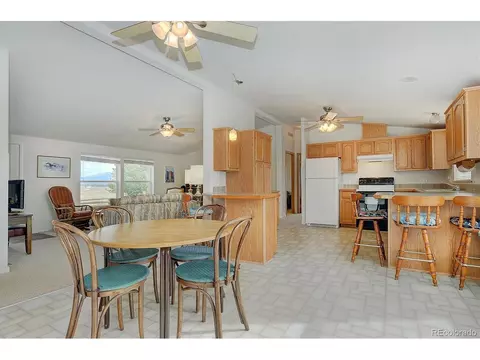 20333 Old Ranch Loop, Nathrop, CO 81236 photo 9