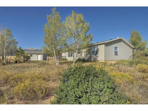 20333 Old Ranch Loop, Nathrop, CO 81236