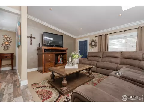 1123 Macdavidson Cir, Dacono, CO 80514 photo 19