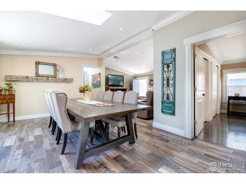 1123 Macdavidson Cir, Dacono, CO 80514 photo 15