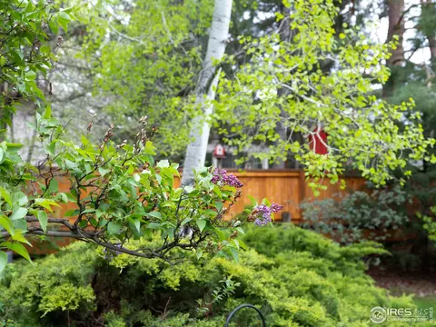 7442 Old Mill Trl, Boulder, CO 80301 photo 3
