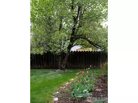 7442 Old Mill Trl, Boulder, CO 80301 photo 22