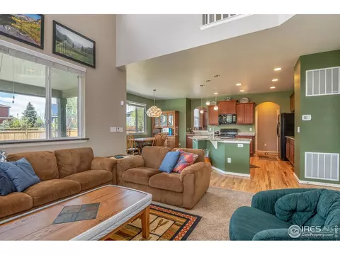 237 Apache Plume St, Brighton, CO 80601 photo 12