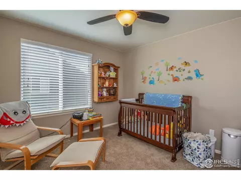 237 Apache Plume St, Brighton, CO 80601 photo 33
