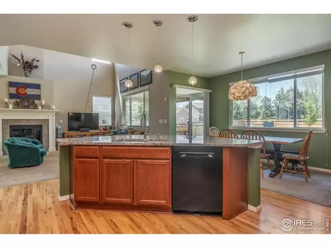 237 Apache Plume St, Brighton, CO 80601 photo 15