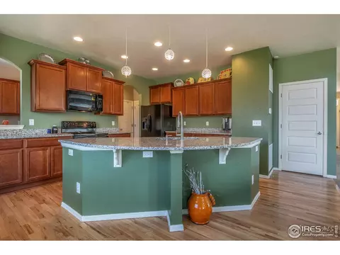 237 Apache Plume St, Brighton, CO 80601 photo 14