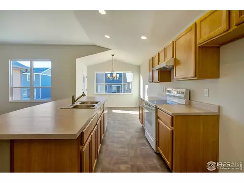 2148 Crop Row Dr, Windsor, CO 80550 photo 5