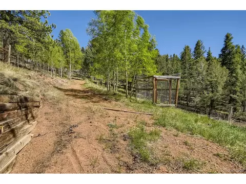 165 Timber Ridge Rd, Divide, CO 80814 photo 27