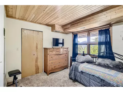 165 Timber Ridge Rd, Divide, CO 80814 photo 19