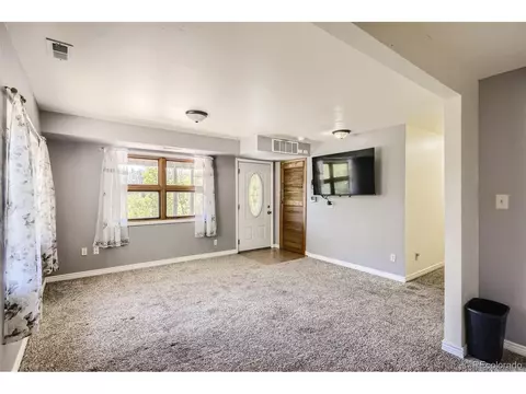 165 Timber Ridge Rd, Divide, CO 80814 photo 22