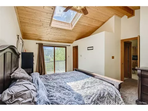 165 Timber Ridge Rd, Divide, CO 80814 photo 13