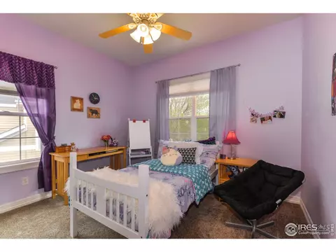298 Fieldstone Dr, Windsor, CO 80550 photo 23