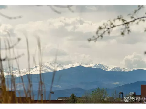 298 Fieldstone Dr, Windsor, CO 80550 photo 33