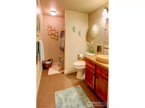 99 Veronica Dr, Windsor, CO 80550 photo 28