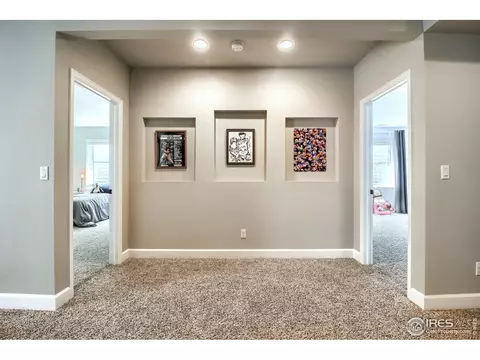 1904 E 167th Ln, Thornton, CO 80602 photo 34