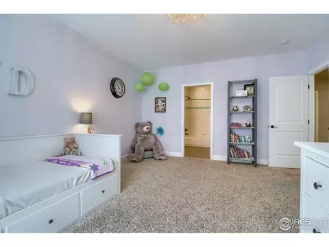 1904 E 167th Ln, Thornton, CO 80602 photo 30