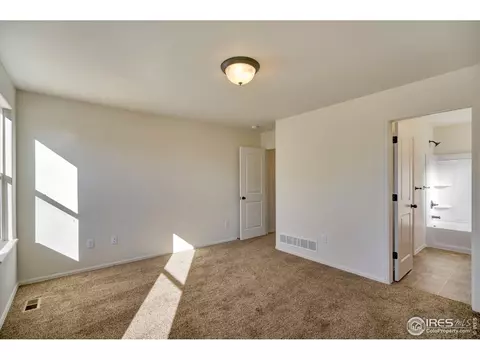 1513 First Light Dr, Windsor, CO 80550 photo 15