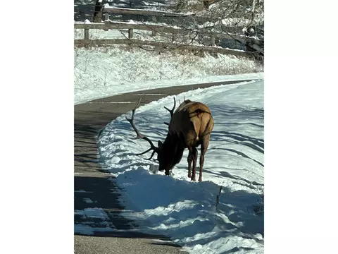 20 W Ranch Trl, Morrison, CO 80465 photo 46